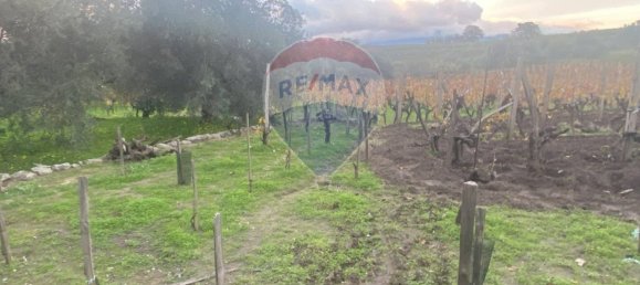 15582m² Land in Castiglione di Sicilia, Italy No. 152050 33