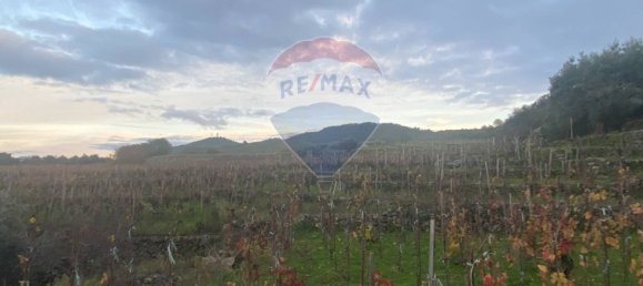 15582m² Land in Castiglione di Sicilia, Italy No. 152050 45