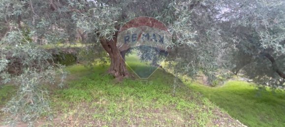15582m² Land in Castiglione di Sicilia, Italy No. 152050 19