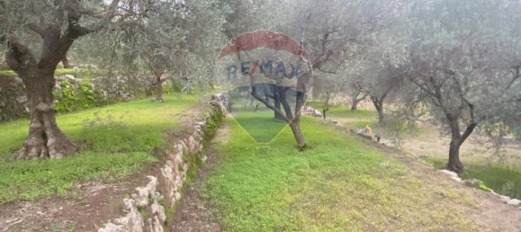 15582m² Land in Castiglione di Sicilia, Italy No. 152050 13