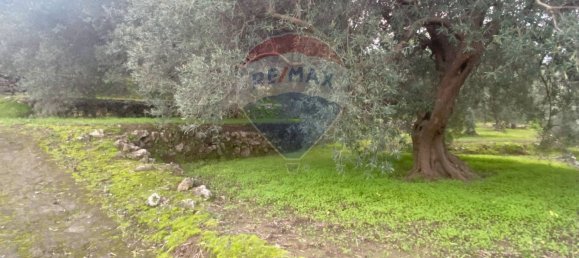 15582m² Land in Castiglione di Sicilia, Italy No. 152050 16