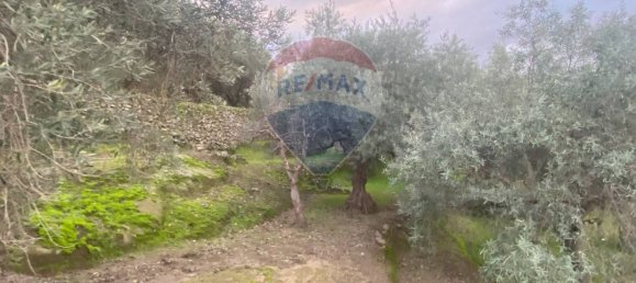 15582m² Land in Castiglione di Sicilia, Italy No. 152050 21