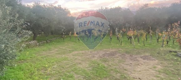 15582m² Land in Castiglione di Sicilia, Italy No. 152050 31