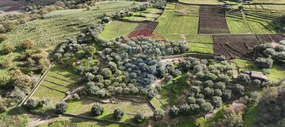 15582m² Land in Castiglione di Sicilia, Italy No. 152050 9