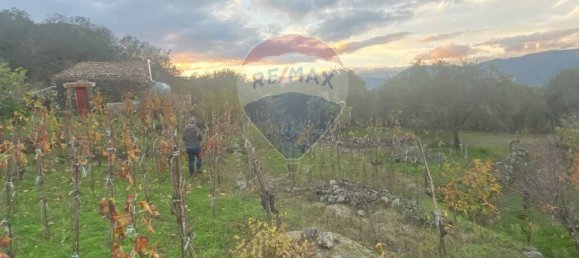 15582m² Land in Castiglione di Sicilia, Italy No. 152050 44