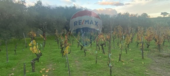 15582m² Land in Castiglione di Sicilia, Italy No. 152050 24