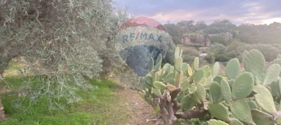 15582m² Land in Castiglione di Sicilia, Italy No. 152050 12