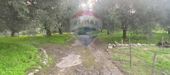 15582m² Land in Castiglione di Sicilia, Italy No. 152050 34