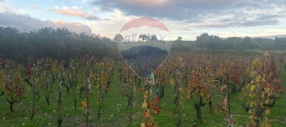 15582m² Land in Castiglione di Sicilia, Italy No. 152050 28