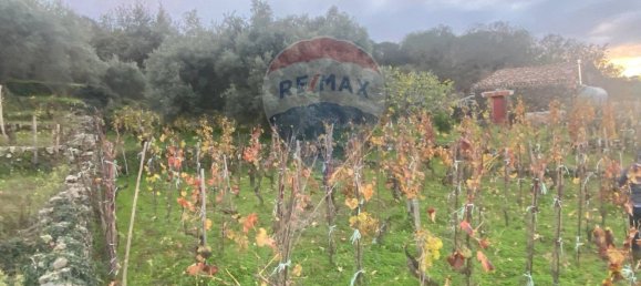 15582m² Land in Castiglione di Sicilia, Italy No. 152050 43