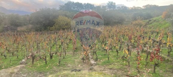 15582m² Land in Castiglione di Sicilia, Italy No. 152050 10