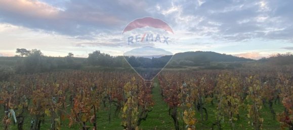 15582m² Land in Castiglione di Sicilia, Italy No. 152050 29