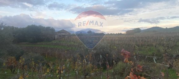 15582m² Land in Castiglione di Sicilia, Italy No. 152050 46