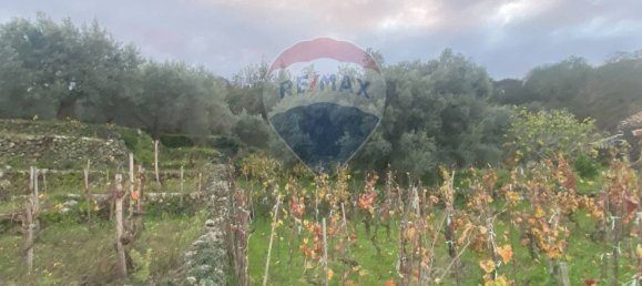 15582m² Land in Castiglione di Sicilia, Italy No. 152050 42