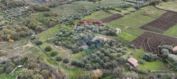 15582m² Land in Castiglione di Sicilia, Italy No. 152050 6