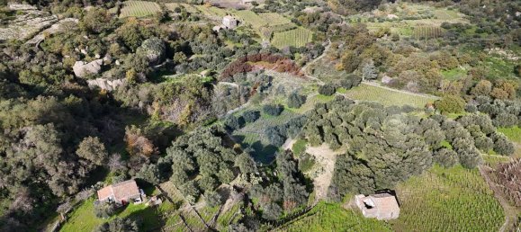 15582m² Land in Castiglione di Sicilia, Italy No. 152050 50