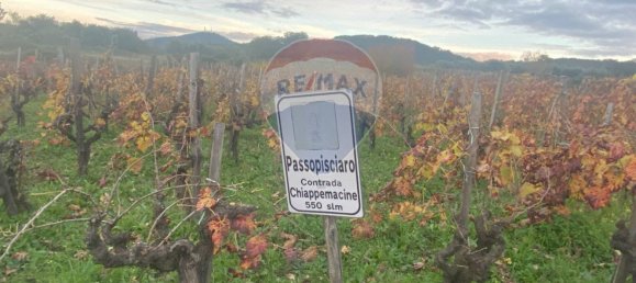 15582m² Land in Castiglione di Sicilia, Italy No. 152050 38