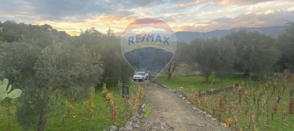 15582m² Land in Castiglione di Sicilia, Italy No. 152050 11