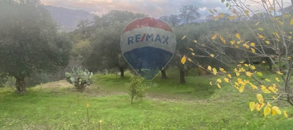 15582m² Land in Castiglione di Sicilia, Italy No. 152050 23