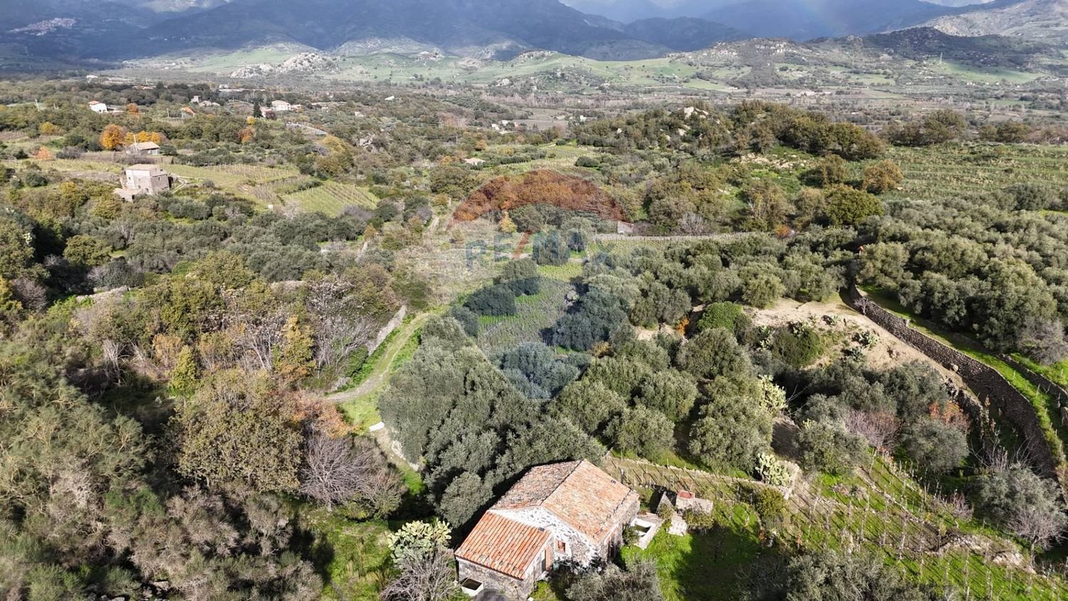 15582m² Land in Castiglione di Sicilia, Italy No. 152050
