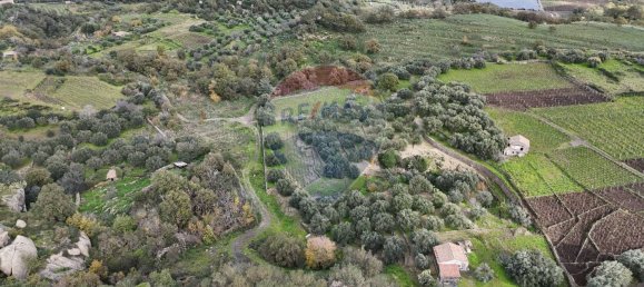 15582m² Land in Castiglione di Sicilia, Italy No. 152050 4