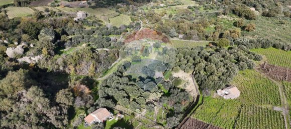 15582m² Land in Castiglione di Sicilia, Italy No. 152050 49