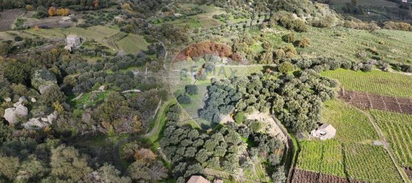 15582m² Land in Castiglione di Sicilia, Italy No. 152050 2