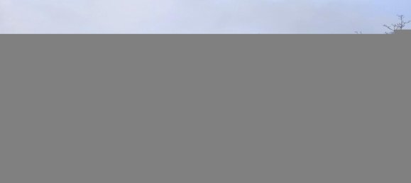 5 rooms House in San Giuliano Terme, Italy No. 85251 11