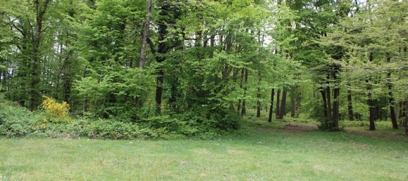 6 bedrooms House in Rambouillet, France No. 327469 16