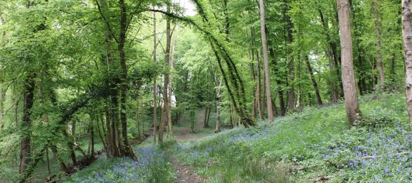 6 bedrooms House in Rambouillet, France No. 327469 17