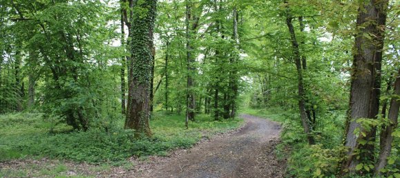 6 bedrooms House in Rambouillet, France No. 327469 15