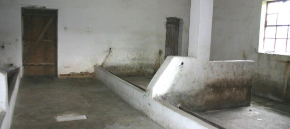 8 rooms Farm in Minden-Lubbecke, Germany No. 189944 15