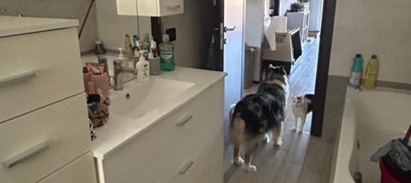 3 rooms Apartment in Mortara, Italy No. 169781 10