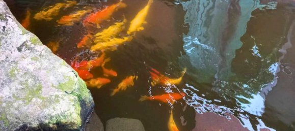 4 غرف نوم فيلا في Khlong Sam Wa, Thailand رقم 75348 17