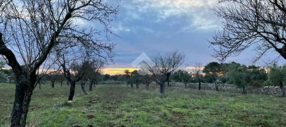 Дом с 2 комнатами в Сантерамо ин Колле, Италия № 71782 6