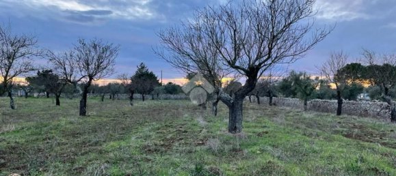 Дом с 2 комнатами в Сантерамо ин Колле, Италия № 71782 5