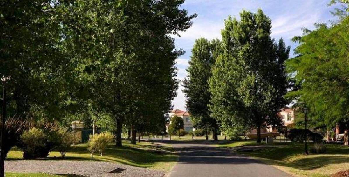  Land in Pilar, Argentina No. 45615