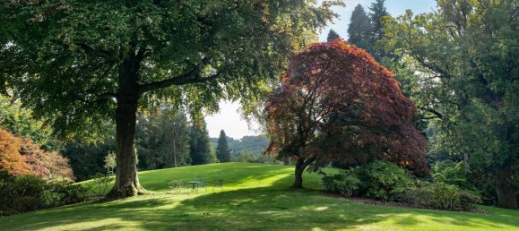 2 bedrooms Apartment in Haslemere, United Kingdom No. 10547 4