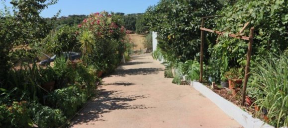 4 bedrooms House in Sao Bras de Alportel, Portugal No. 128372 25