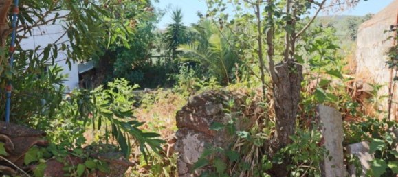 4 bedrooms House in Sao Bras de Alportel, Portugal No. 128372 17