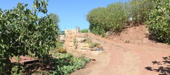 4 bedrooms House in Sao Bras de Alportel, Portugal No. 128372 27