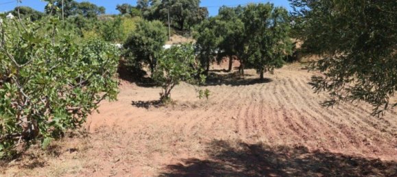 4 bedrooms House in Sao Bras de Alportel, Portugal No. 128372 26