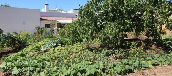 4 bedrooms House in Sao Bras de Alportel, Portugal No. 128372 28