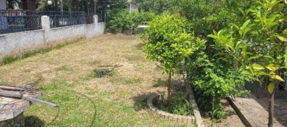 4 bedrooms Commercial property in Chalkidiki, Greece No. 2192 5