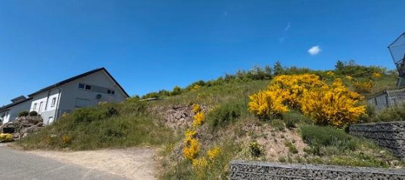 Terrain à Trier-Saarburg, Germany No. 228895 3