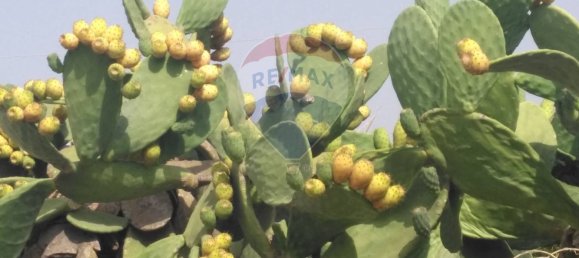 3 Schlafzimmer Villa in Alcamo, Italy, Nr. 362020 5