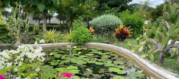 3 bedrooms Cafe / restaurant in Hua Hin, Thailand No. 9168 9