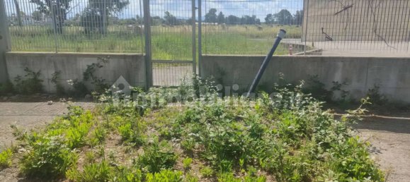 Склад с 5 комнатами в Сабаудия, Италия № 47733 34