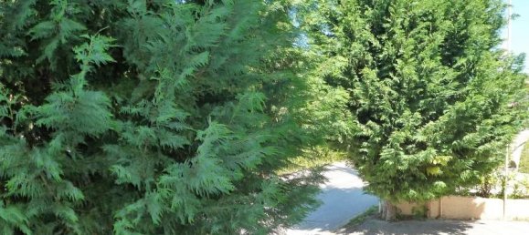 1200m² Townhouse in Corfu, Greece No. 6663 15