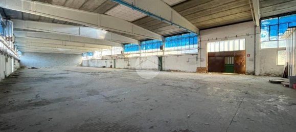 5 rooms Warehouse in Cerano, Italy No. 137067 8